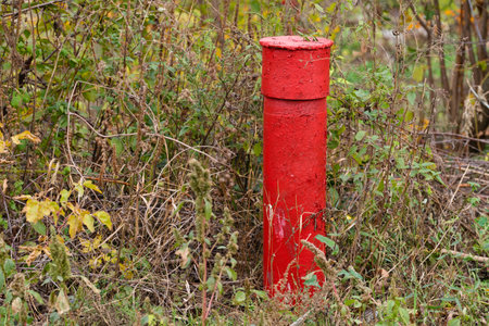Small red metal pole surrounded by weed plantsの写真素材