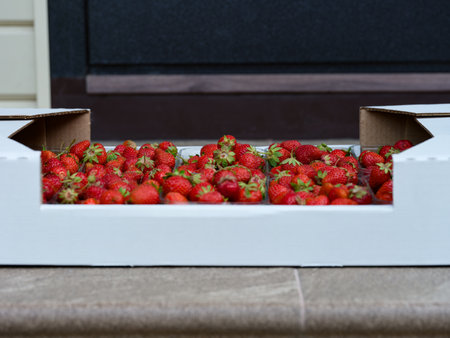 Close-up shot of a cardboard box full of fresh organic strawberries delivered to the house front doorの写真素材