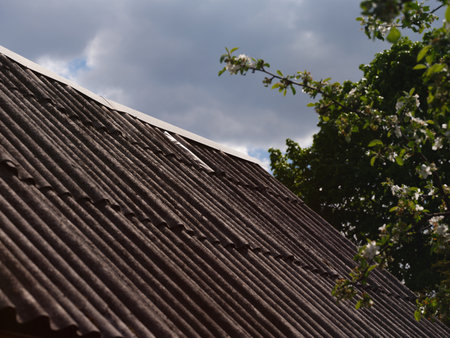 Close-up of a weathered, corrugated fiber cement (or asbestos cement) roof with strong diagonal lines, contrasted by blossoming tree branches against a cloudy spring sky.の写真素材