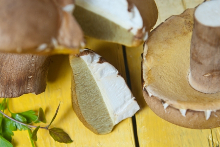 Boletus mushroom on table