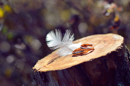Two wedding rings on wooden surface with feather decoration closeupの写真素材