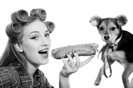 funny pinup small cute dog and beautiful blond sexy young woman with curlers looking surprised having fun eating a hot-dog on a white background, closeup black and white portrait imageの写真素材