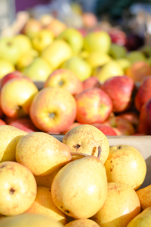 Closeup picture of pears and apples fruit in seasonの写真素材