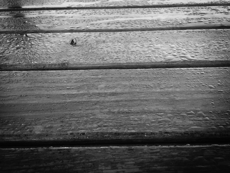 Close up on natural grungy weathered wood detail and drops of rain decorative textured backgroundの写真素材