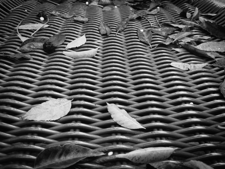 Wooden textured surface with natural leaves backround, top view close upの写真素材