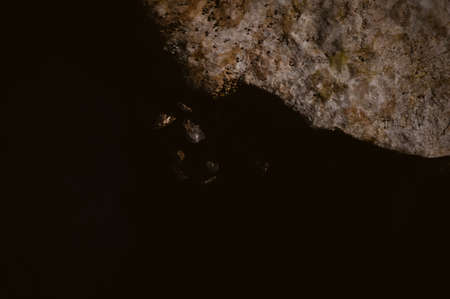 Bright beautiful seascape. Composition of nature, travel vacation and sunny outdoor backgroundの写真素材