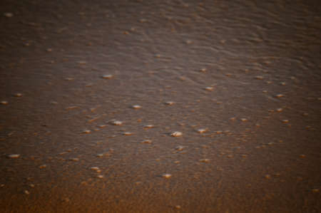 Natural blurry sea coast rippled water surface abstract textured backgroundの写真素材