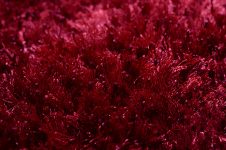 Carpet closeup textured sample display, empty blank copy space interior backgroundの写真素材