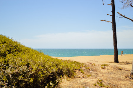 Beach dreamy natural outdoors background