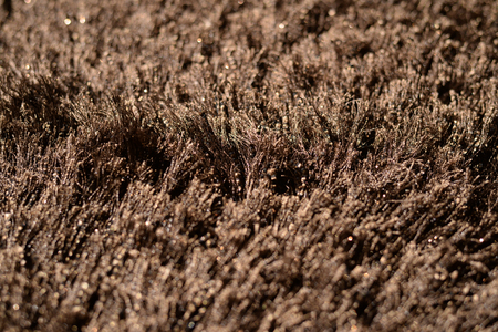 Close up view of a fluffy carpet stylish textured indoor background, hi-resolution image for design decor backdropの写真素材