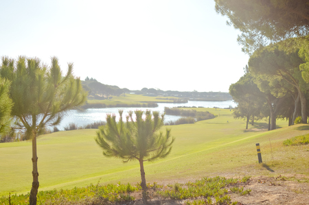 Golf course green grass field and lake trees on sunny day outdoors backgroundの写真素材