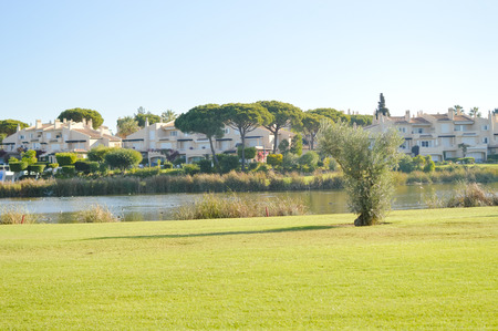 Golf course green grass field and lake trees on sunny day outdoors backgroundの写真素材