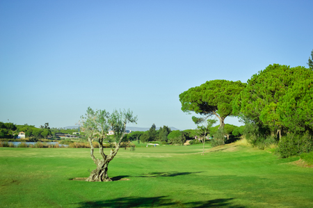 Golf field on sunny outdoors luxury lifestyle backgroundの写真素材