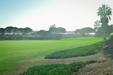Golf field on sunny outdoors luxury lifestyle backgroundの写真素材