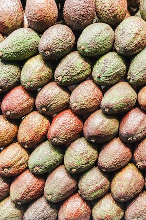 Rows of fresh healthy green avocado on farmer agricultural market