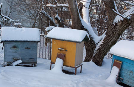 Three hives in winter sprinkled with fluffy snow