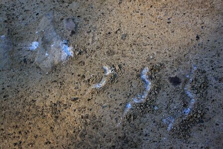 Track of a crawler tractor on a dirt road. The trail runs diagonallyの写真素材