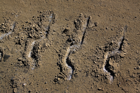 Track of a crawler tractor on a dirt road. The trail runs diagonally
