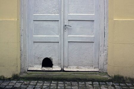 Old white dirty wooden front door with a cat's holeの写真素材