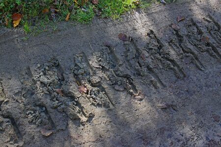 The track from the crawler tractor on a dirt road. The trail runs diagonally