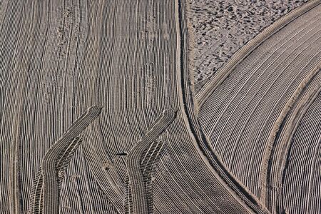 Cleaned by a tractor and people trampled sand on the Mediterranean beach in the morning. Antibes,...