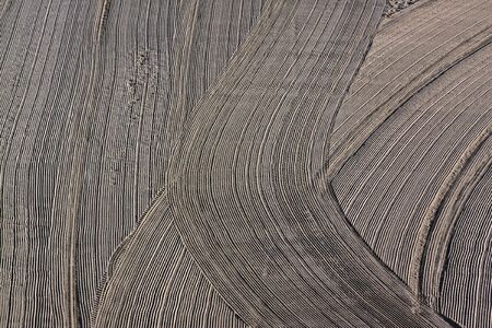 Cleaned by a tractor and people trampled sand on the Mediterranean beach in the morning. Antibes,...