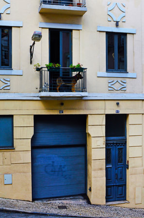 Two dogs on the balcony of a house on the #66A/66 rua da Conceican da Gloria in Lisbon, Portugal. November 01, 2018. Editorial photoのeditorial素材