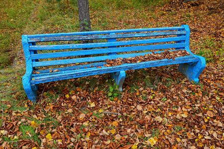 Blue bench among yellow leaves in the parkの写真素材