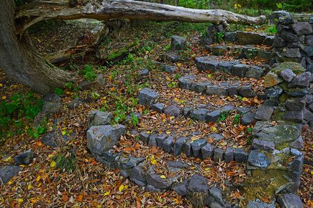Old cobblestone stairs in an abandoned parkの写真素材