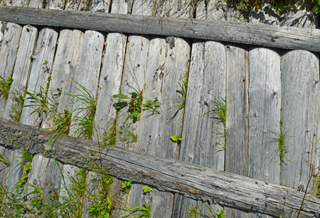 Old wooden fence made of very damaged boardsの写真素材