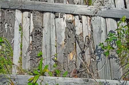 Old wooden fence made of very damaged boardsの写真素材
