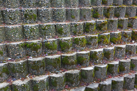 A retaining wall made of shaped concrete blocks
