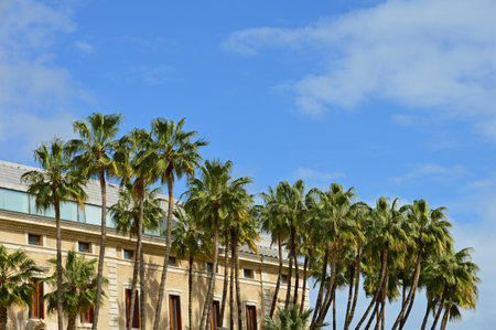 Fragment of the facade of the Malaga Art and Archaeological Museum in the Aduana Palace on Cervantes prospectの写真素材