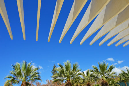 Palm Grove of Surprises Park on Muelle Uno Avenue in Malaga, Spainの写真素材