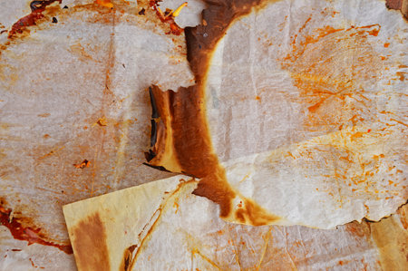 Burnt pieces of parchment that were used to make pizzaの写真素材