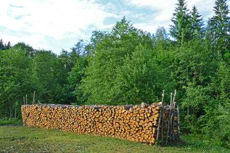 Large pile of firewood on the lawn