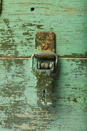 lock rivet on the green wood