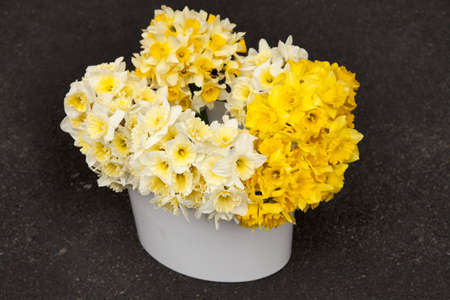 Large bouquet of yellow daffodilsの写真素材