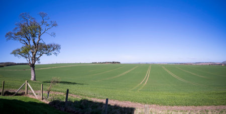 Countryside panorama in East Lothian, Scotlandの写真素材
