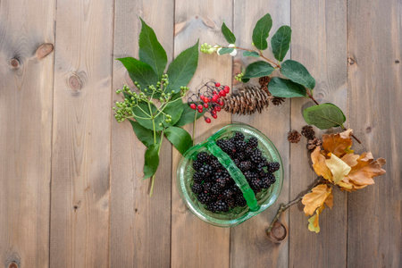 Top down image of hedgerow gatherings. Vintage green glass dish of blackberries surrounded by elderberries, bright red bittersweet berries, white snowberries, pinecones and oak leaves on wooden tabe.の写真素材