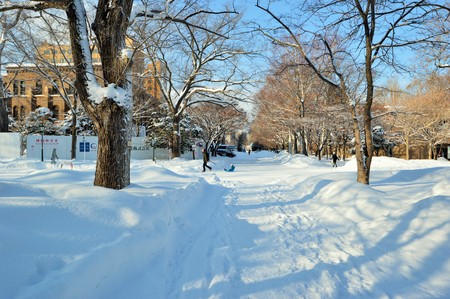Winter scene in Sapporo, Hokkaido, Japan. photo taken 25/2/2016. Photo taken on: January 25th, 2016のeditorial素材