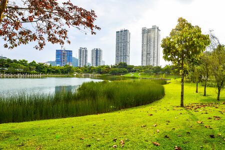 Summer season lake, trees And Green Grass at Desa park city Kuala Lumpur Malaysia. 2017