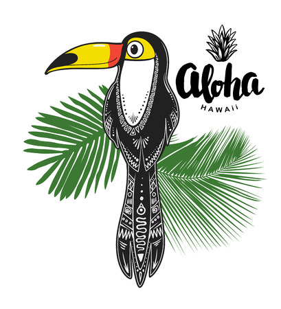 Toucan illustration Vector print for apparel, cards, posters - Vector.のイラスト素材