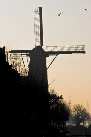 Birds flying over a windmill at sunset in Rotterdamの写真素材