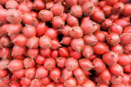 Salacca wallichiana or Salacca zalacca is local traditional Thai fruit.の写真素材