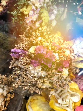 Dry flower bouquet for background.の写真素材