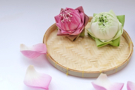 lotus flower floating in water and wooden background, spa concept.の写真素材