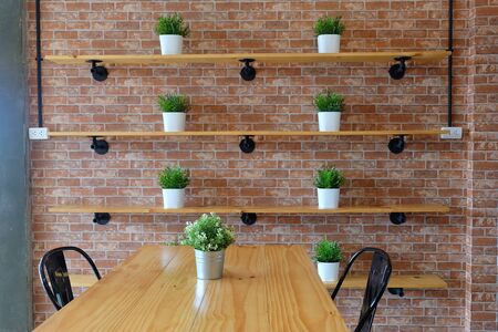 Planted on a wooden rack, brick backgroundの写真素材