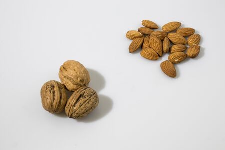 Walnuts and almonds in a white backgroundの写真素材