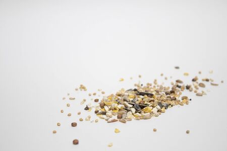 Bird seeds in a white background in a compositionの写真素材